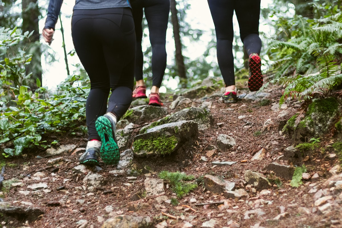 Diverse group demonstrating fitness and wellness together